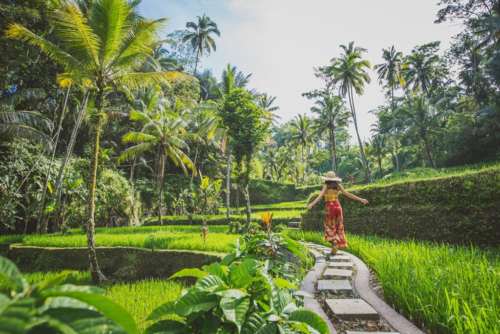 bali tour company best places to visit in bali