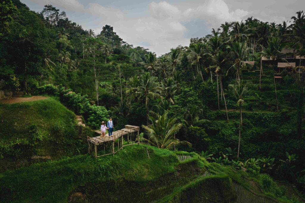 Couple standing on wooden bridge near rice terraces in Bali Indonesia Holding hands Romantic mood Tropical vacation Aerial shot On background coconut palm trees