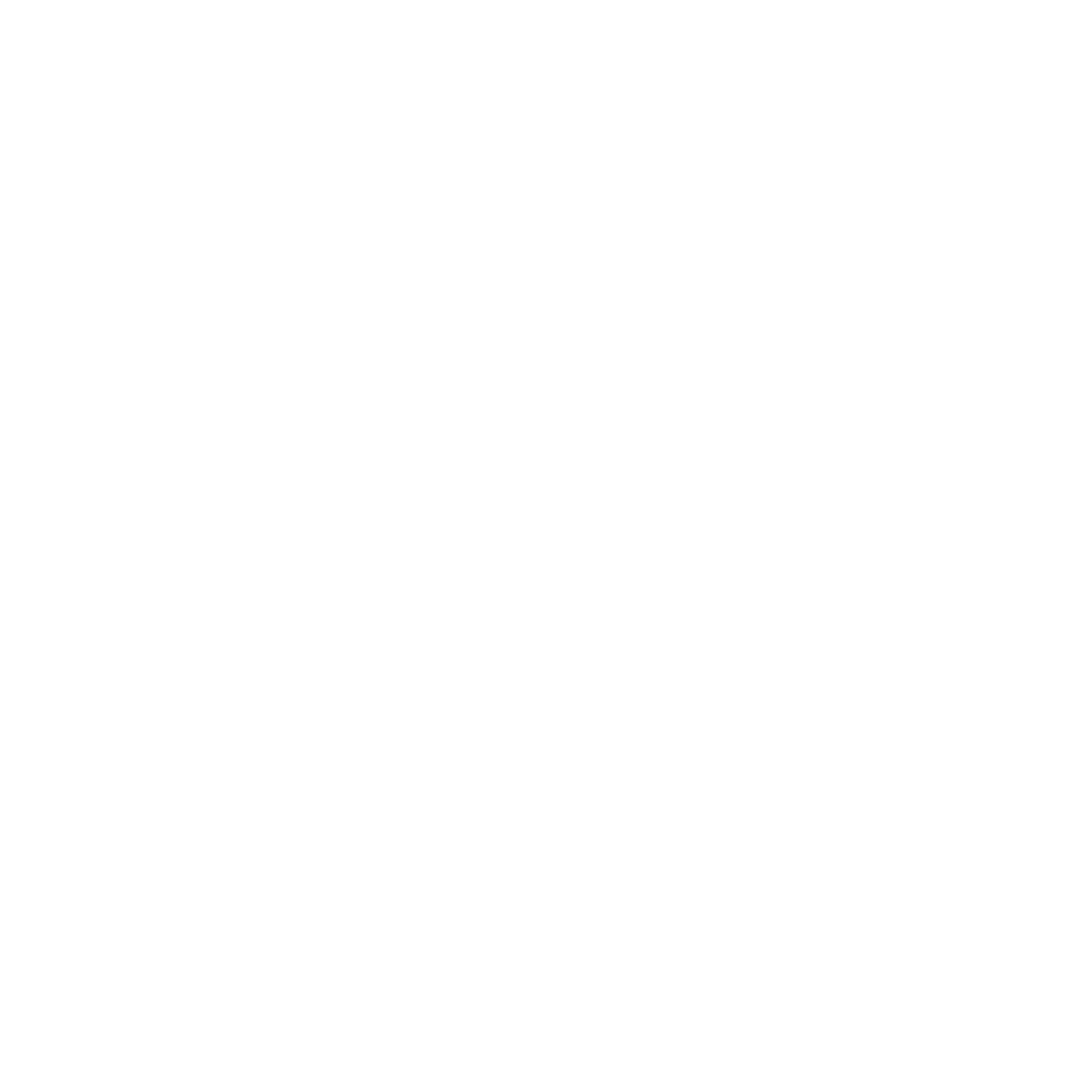 logo bondi