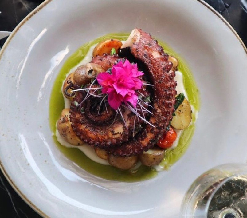 gente canggu octopus