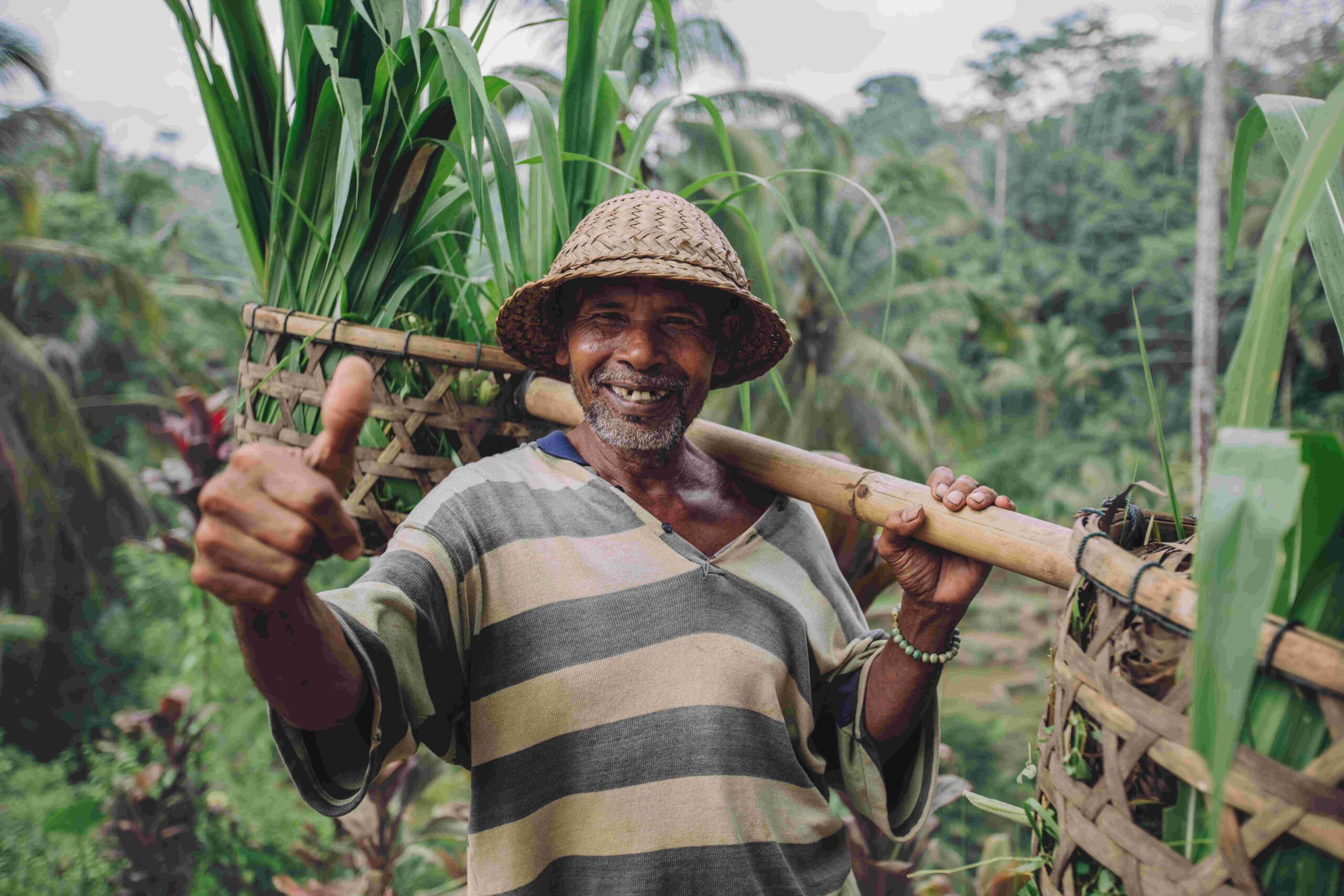 Happy senior farmer giving thumbs up