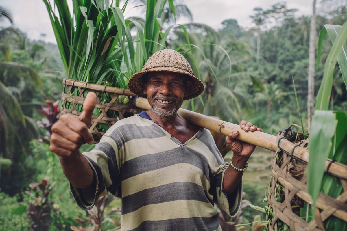 Happy balinese senior farmer