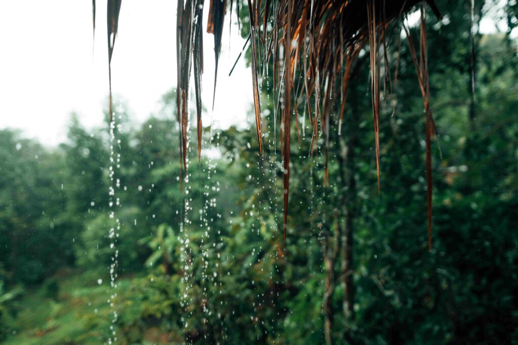 water drops from the roof on a rainy day or in the 2026 01 09 11 38 15 utc