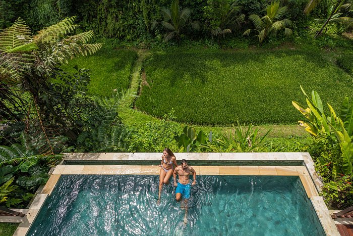 Dedary Resort Ubud by iNi ViE Hospitality Contemporary Paradise