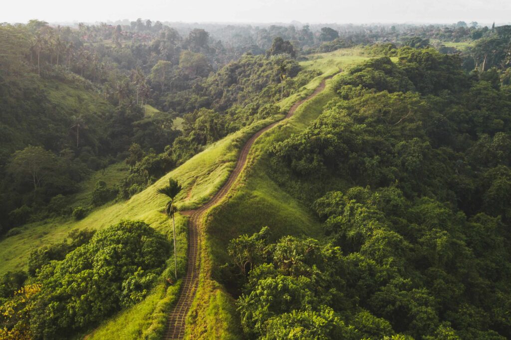 Aerial view of Campuhan Ridge Walk , Scenic Green Hill in Ubud B