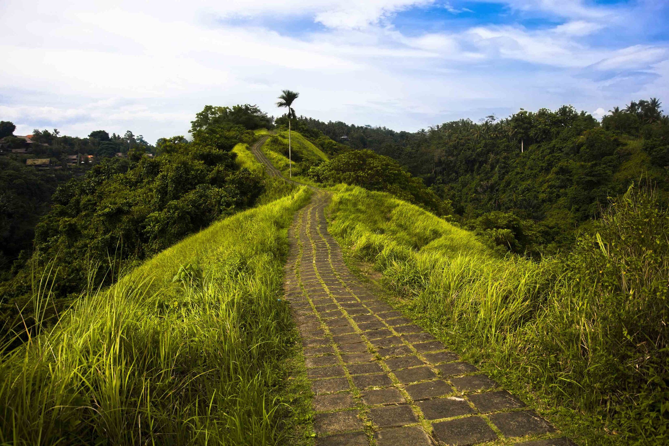 Campuhan Ridge hiking trail in Ubud, Bali