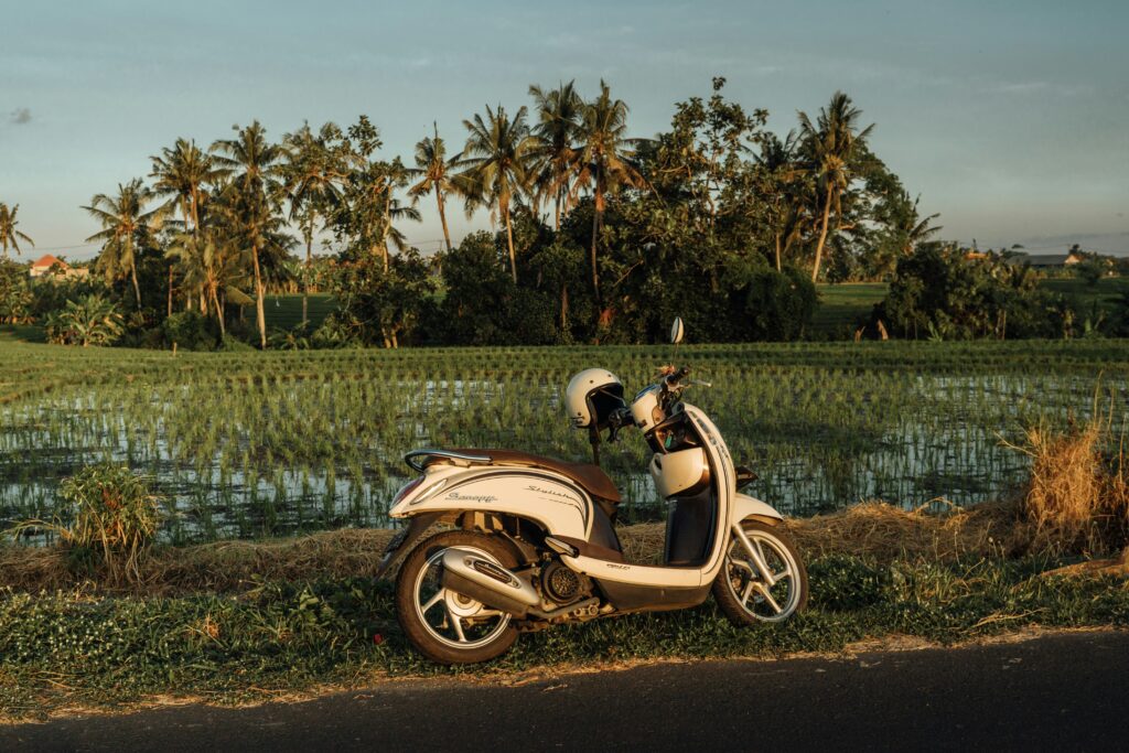 A scooter parked next to a scenic rice field