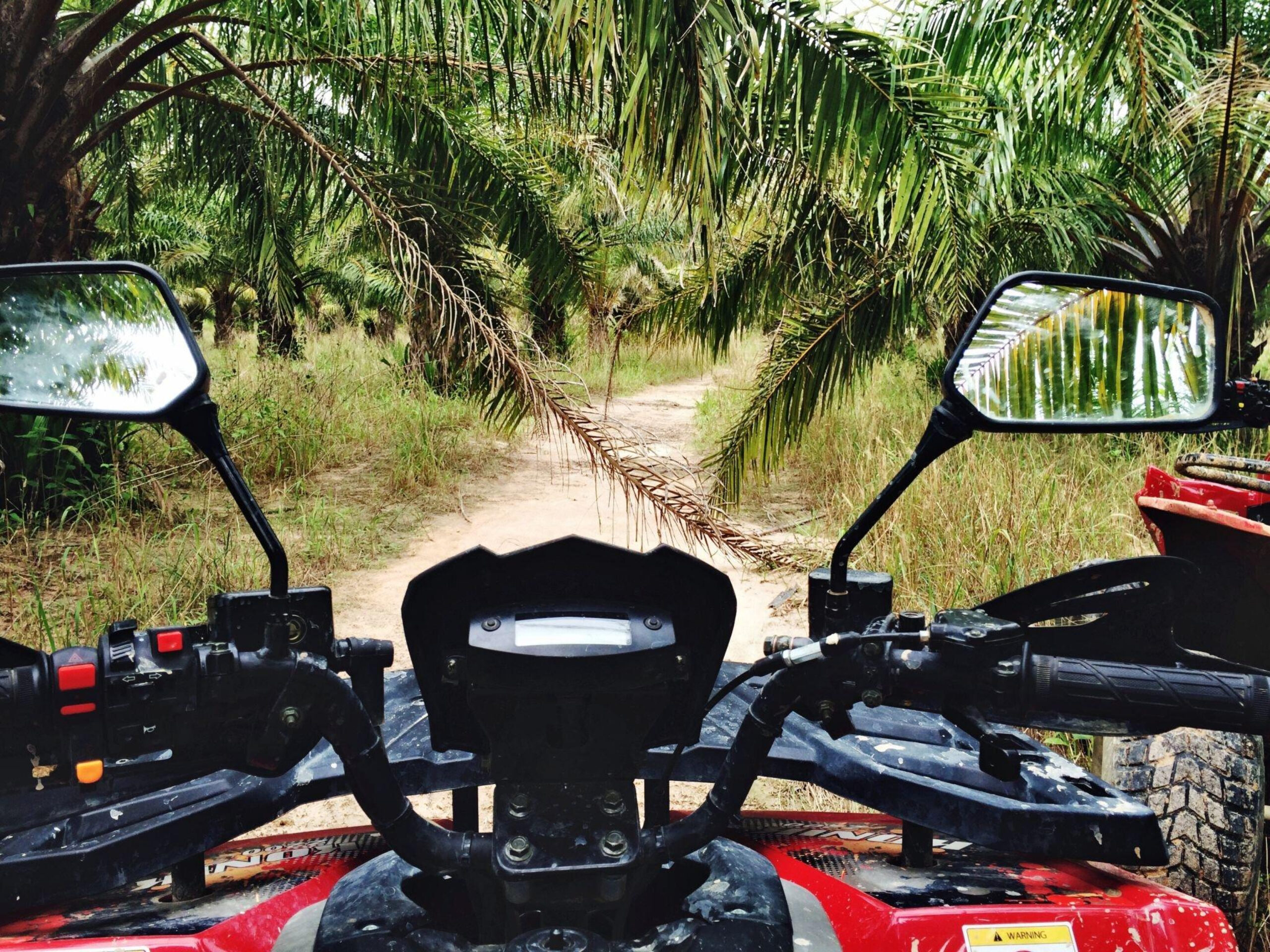 ATV Ride in Ubud