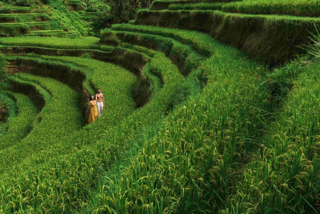 a man and a woman among the rice terraces a coupl 2023 11 27 04 51 43 utc
