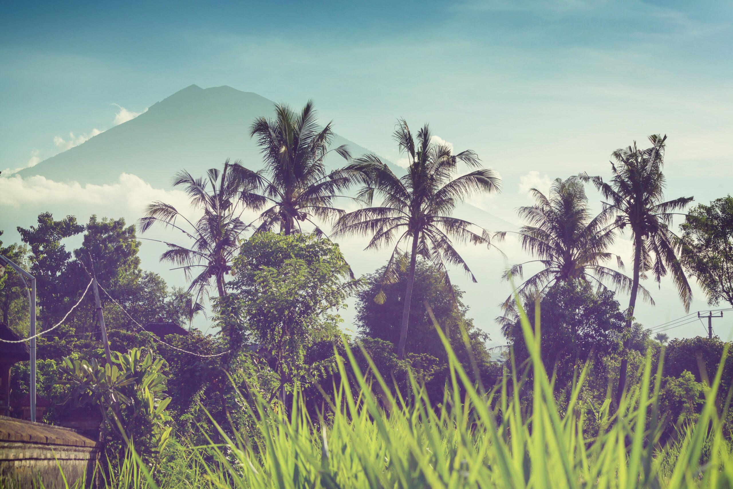 Bali landscapes