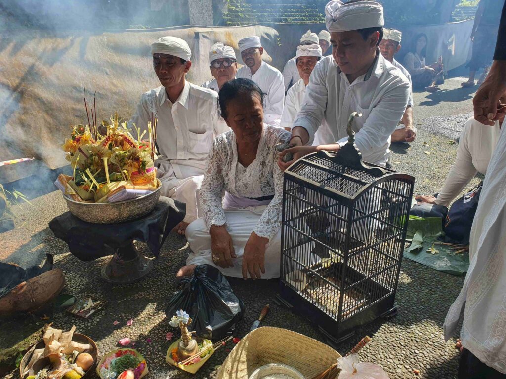 bird release 19010108 citra puspita Cipus Dewi ceremony