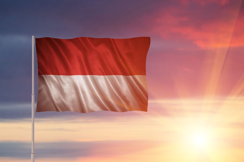 Flag of the Indonesia