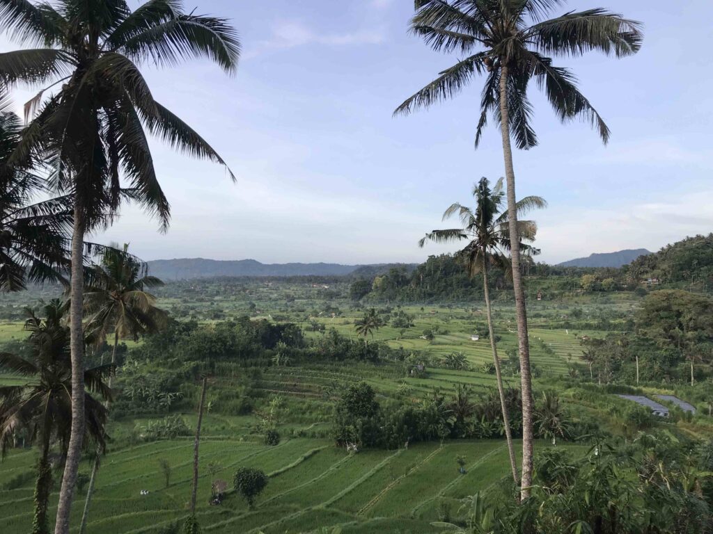 Abang Rice Field Karangasem Village 16111314 rita kebaya