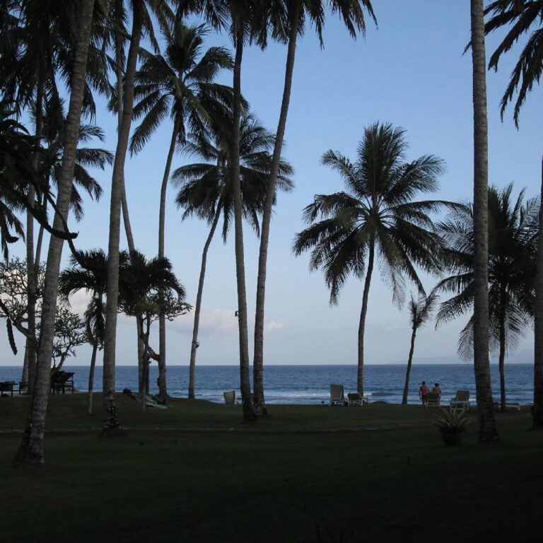 Candi Dasa with palm trees view