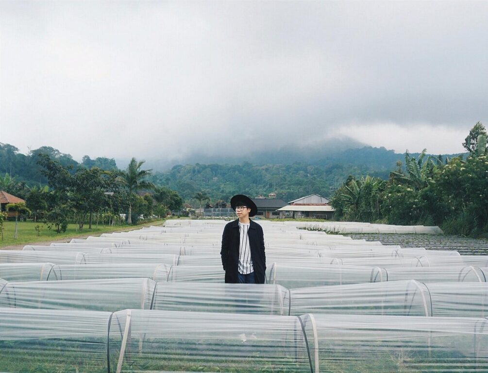 Dikubu Strawberry Farms