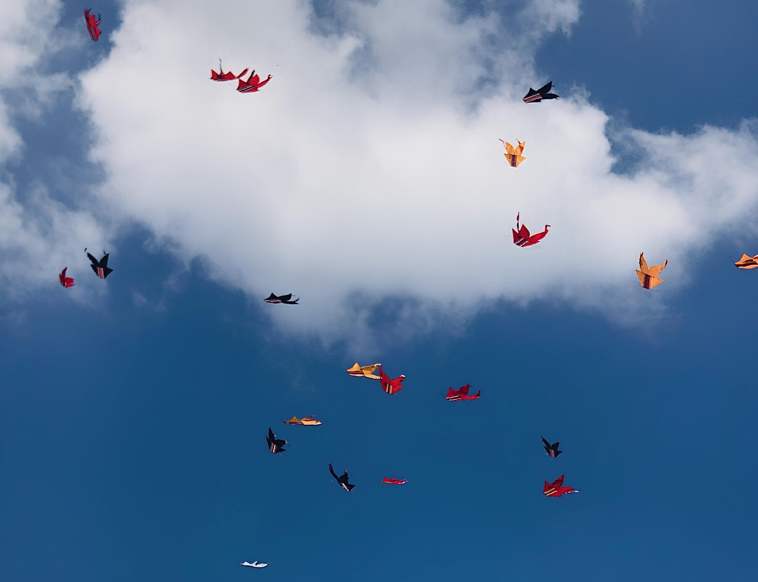 Pantai Mertasari lomba layangan 22080118 I gede Made Kurniawan kites