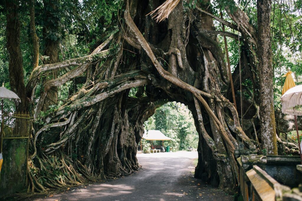 West Bali