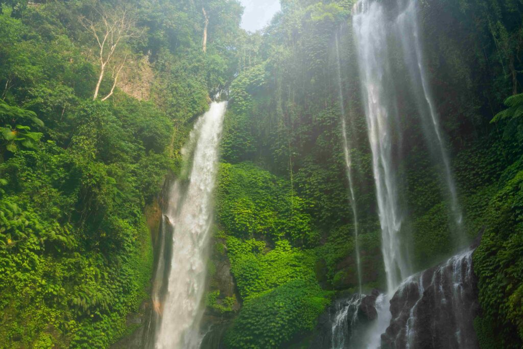 Beautiful and powerful Sekumpul waterfall in Bali, Indonesia
