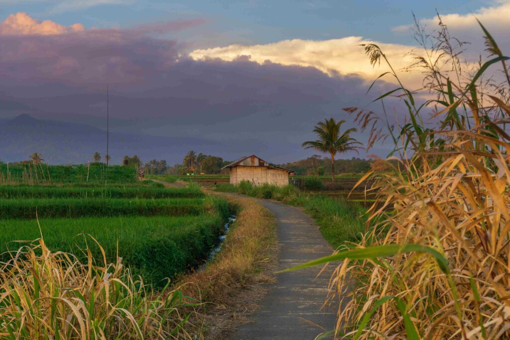 beautiful morning view indonesia panorama landscap 2023 11 27 05 27 40 utc