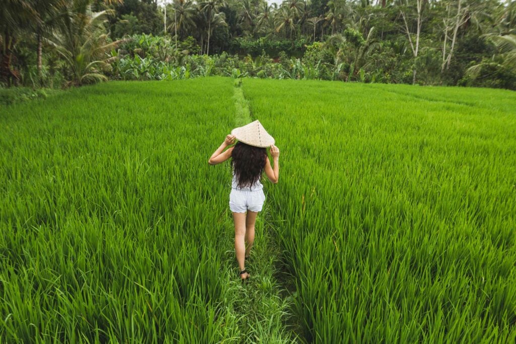 Brunette european woman walking in rice fields with traditional