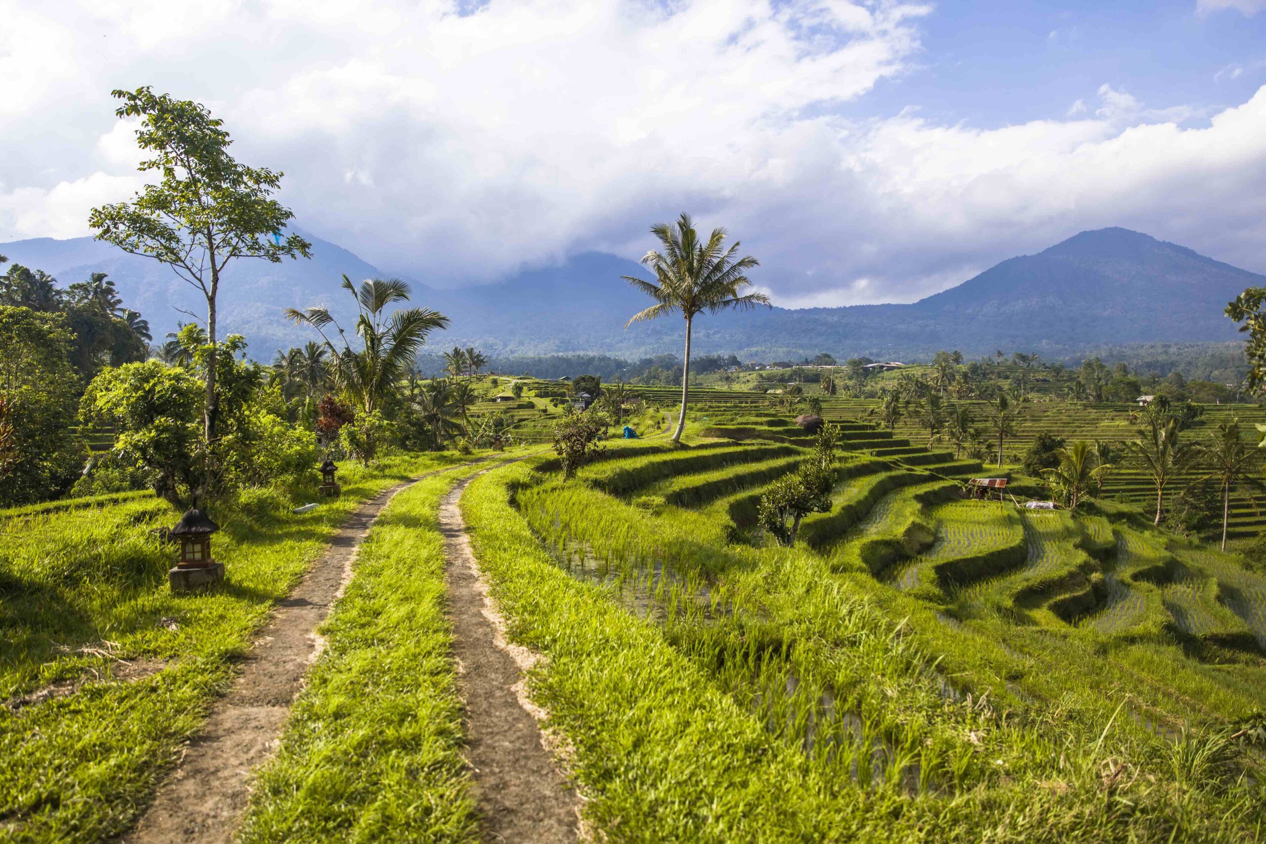Country road at rice fields of Jatiluwih in southeast Bali