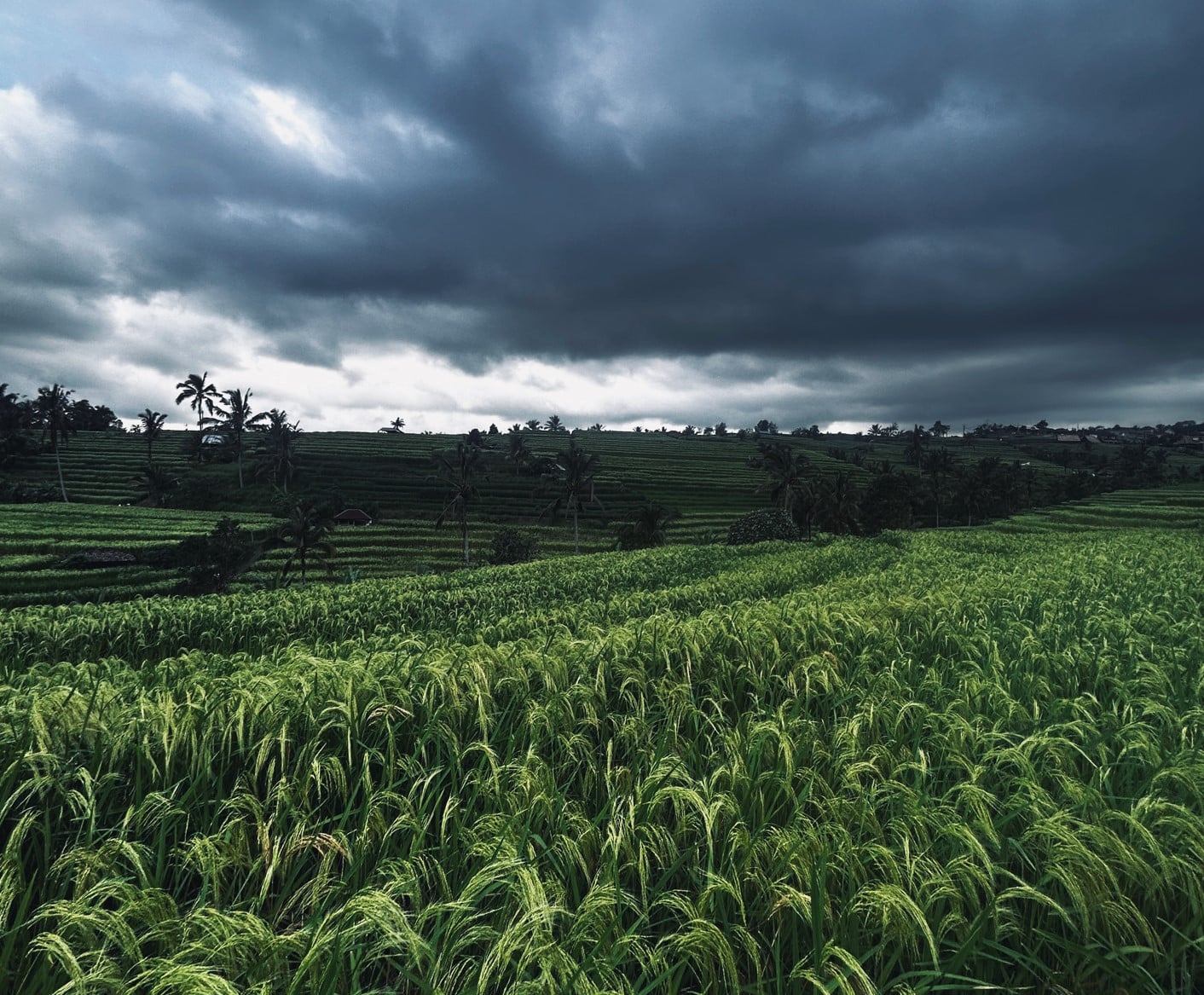 dark clouds jatiluwih