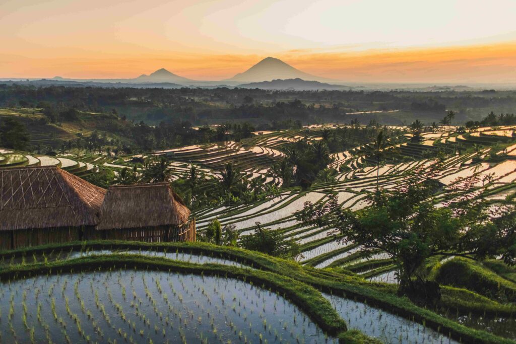 Famous Bali landmark Jatiluwih rice terraces. Beautiful sunrise