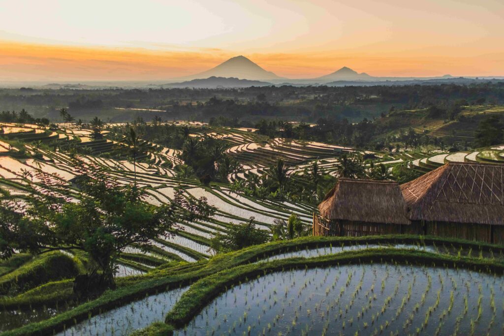 Famous Bali landmark Jatiluwih rice terraces. Beautiful sunrise