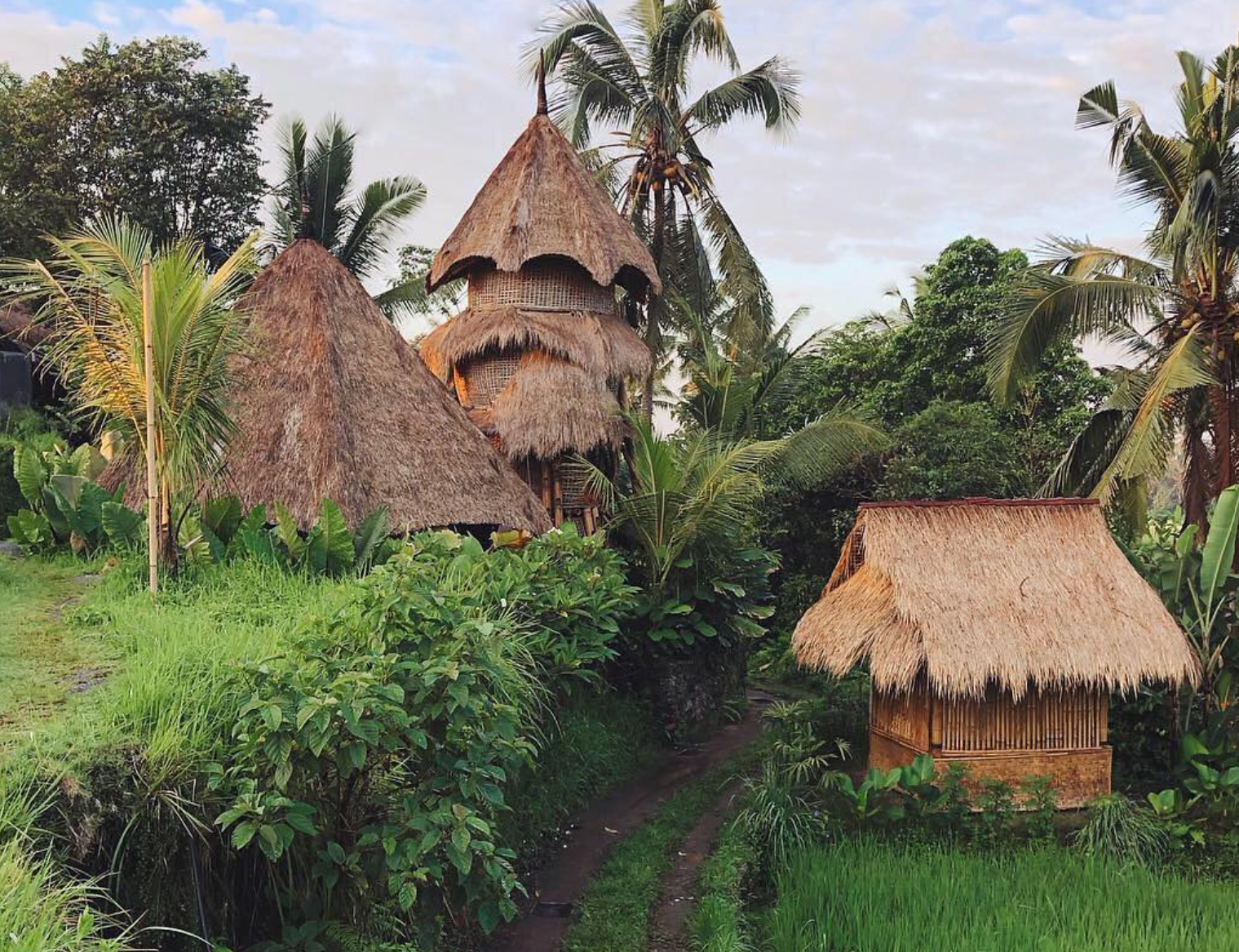 firefly eco lodge bamboo villa bali
