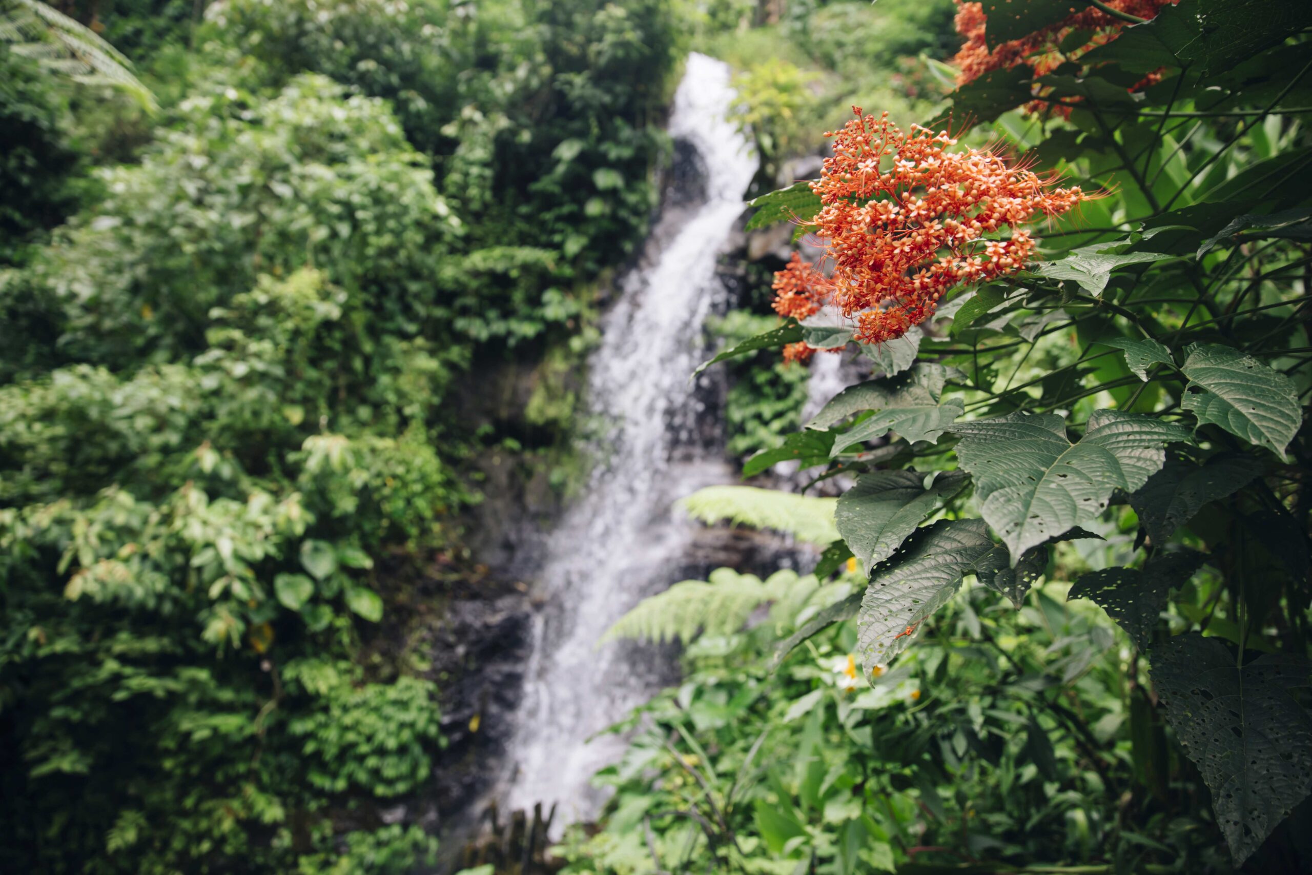 Gitgit waterfall at Bali, Indonesia
