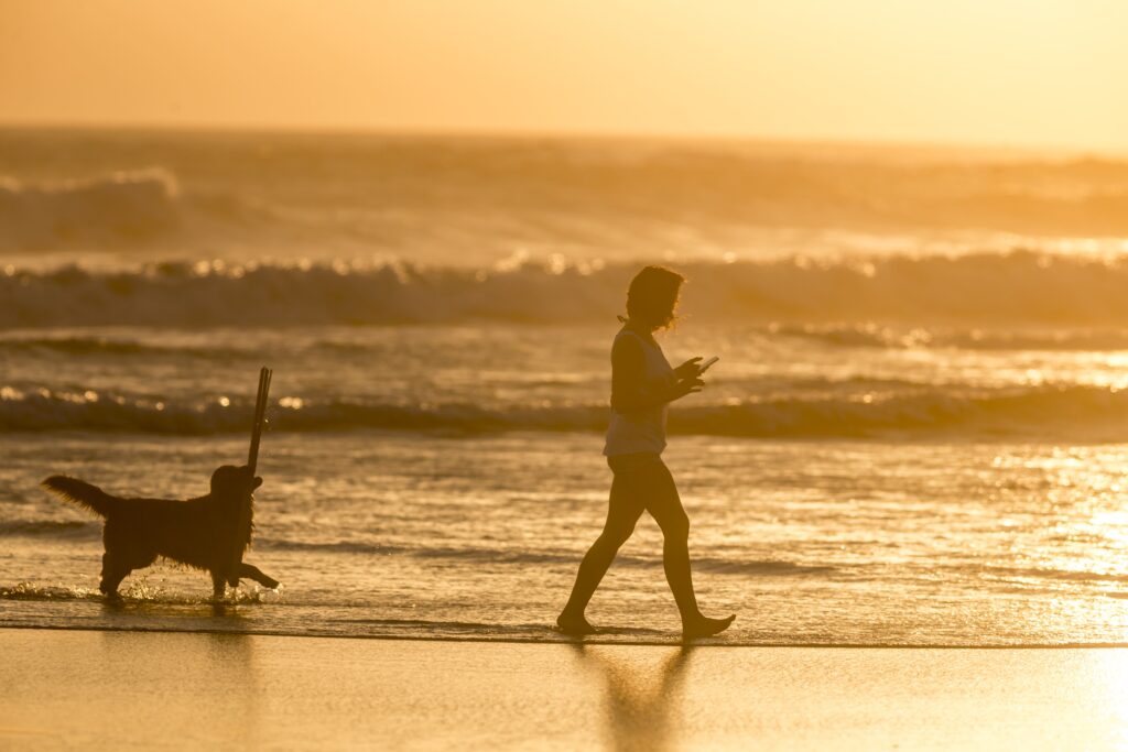 Indonesia, Bali, silhouette of woman walking with her dog on the beach at sunset