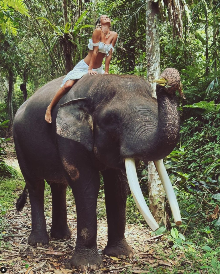 Bali Elephant Rides: Your Ethical Guide To Elephants In Bali