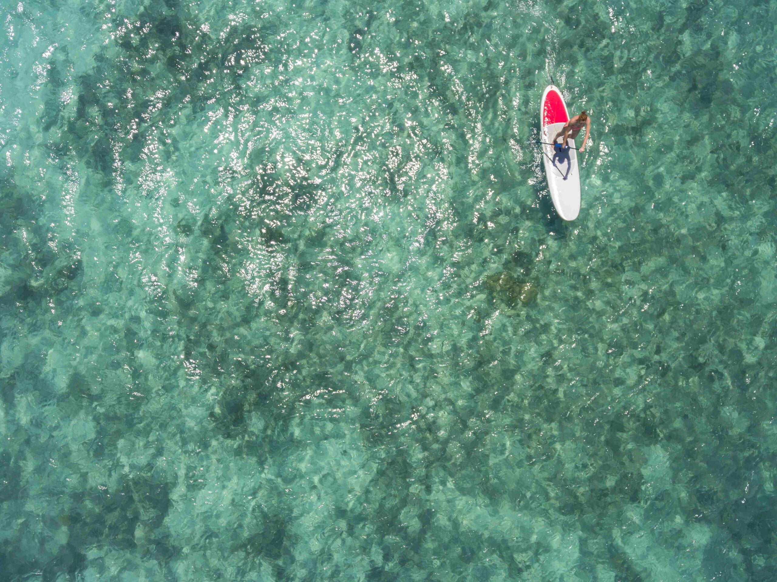 Mauritius, young woman on stand up paddling board