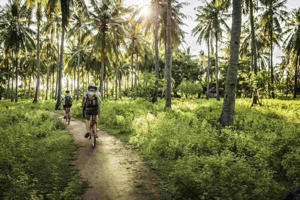 rear view of two young women cycling in palm tree gili islands indonesia