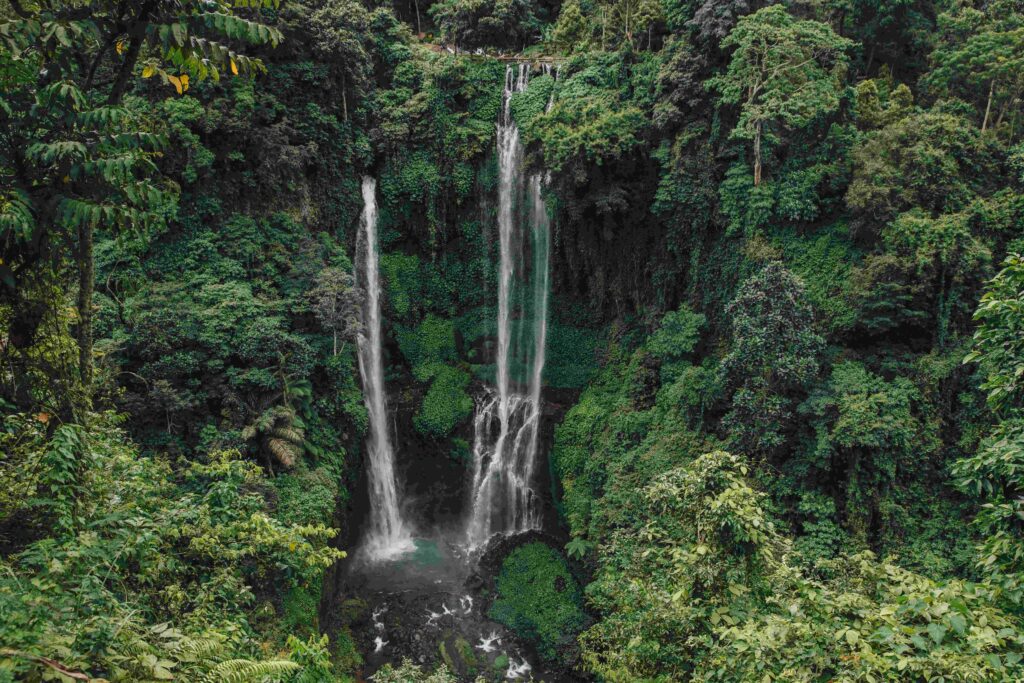 scenic landscape with green trees and majestic waterfall Sekumpul, Bali