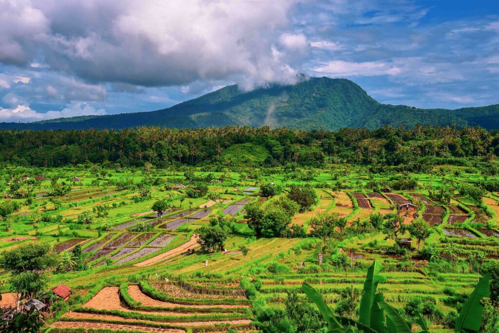 Scenic view of the rice terraces in Bali