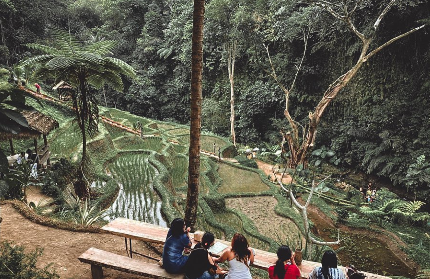 taro village experience ubud bali