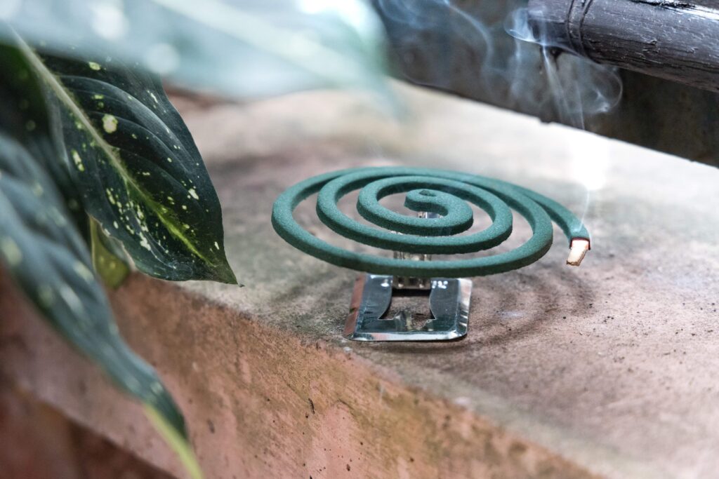 Traditional mosquito repellent coil emit smoke to repel mosquito outdoor