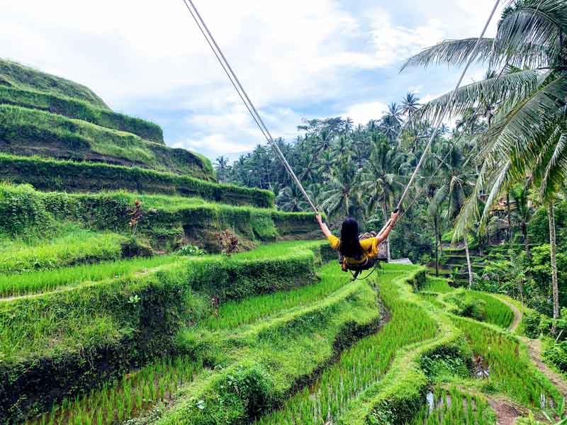 Ceking Rice Terrace Bali baliriceterracecom