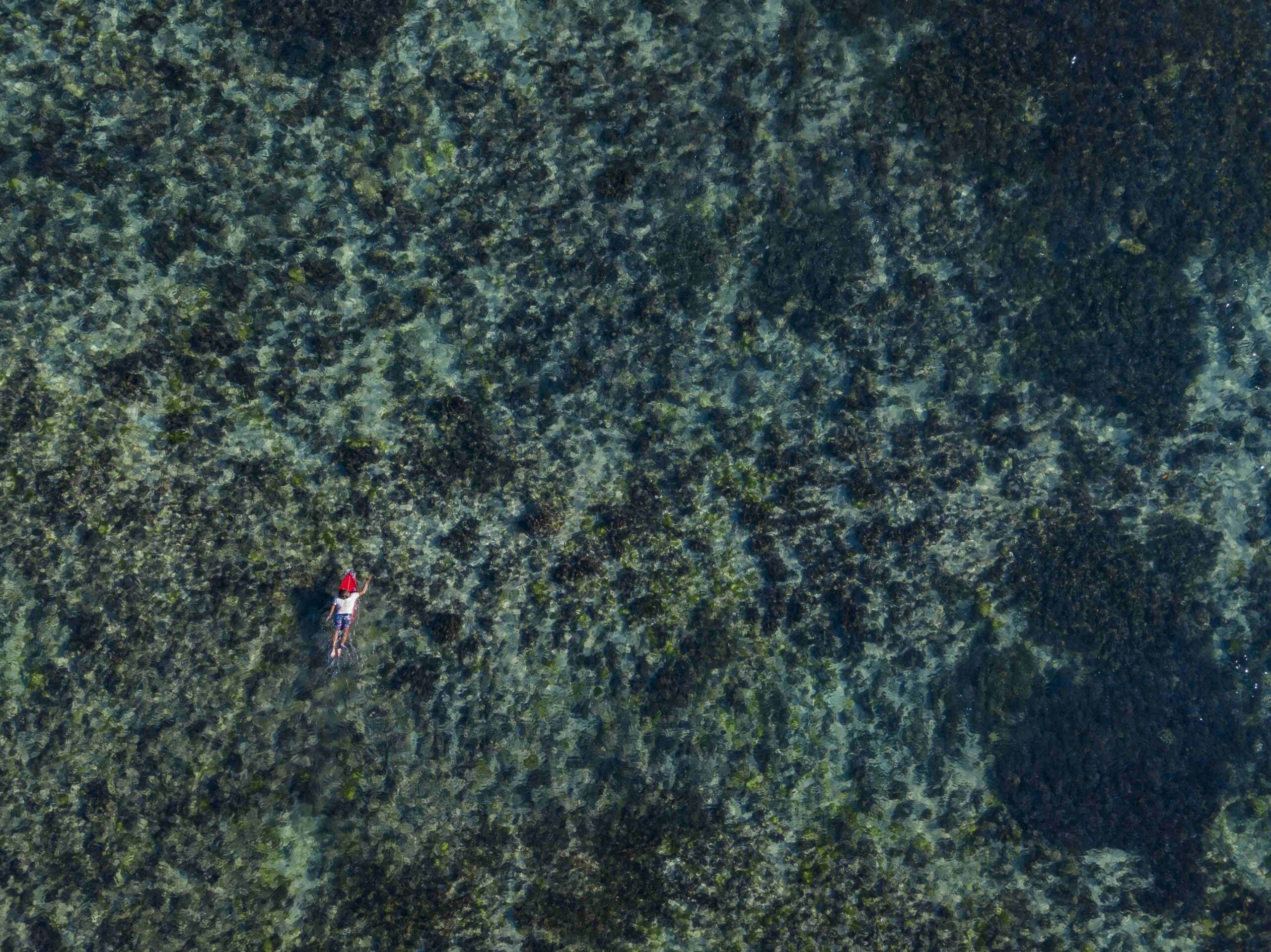 Aerial view of surfer
