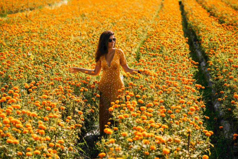 beautiful girl on a flower field a girl in a yell 2023 11 27 05 07 06 utc