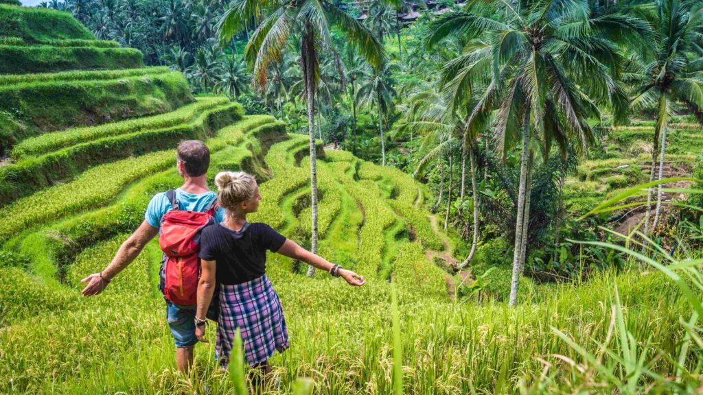 Couple om Tegalalang Rice Terrace Fields and some Palm Trees Around, Ubud, Bali, Indonesia