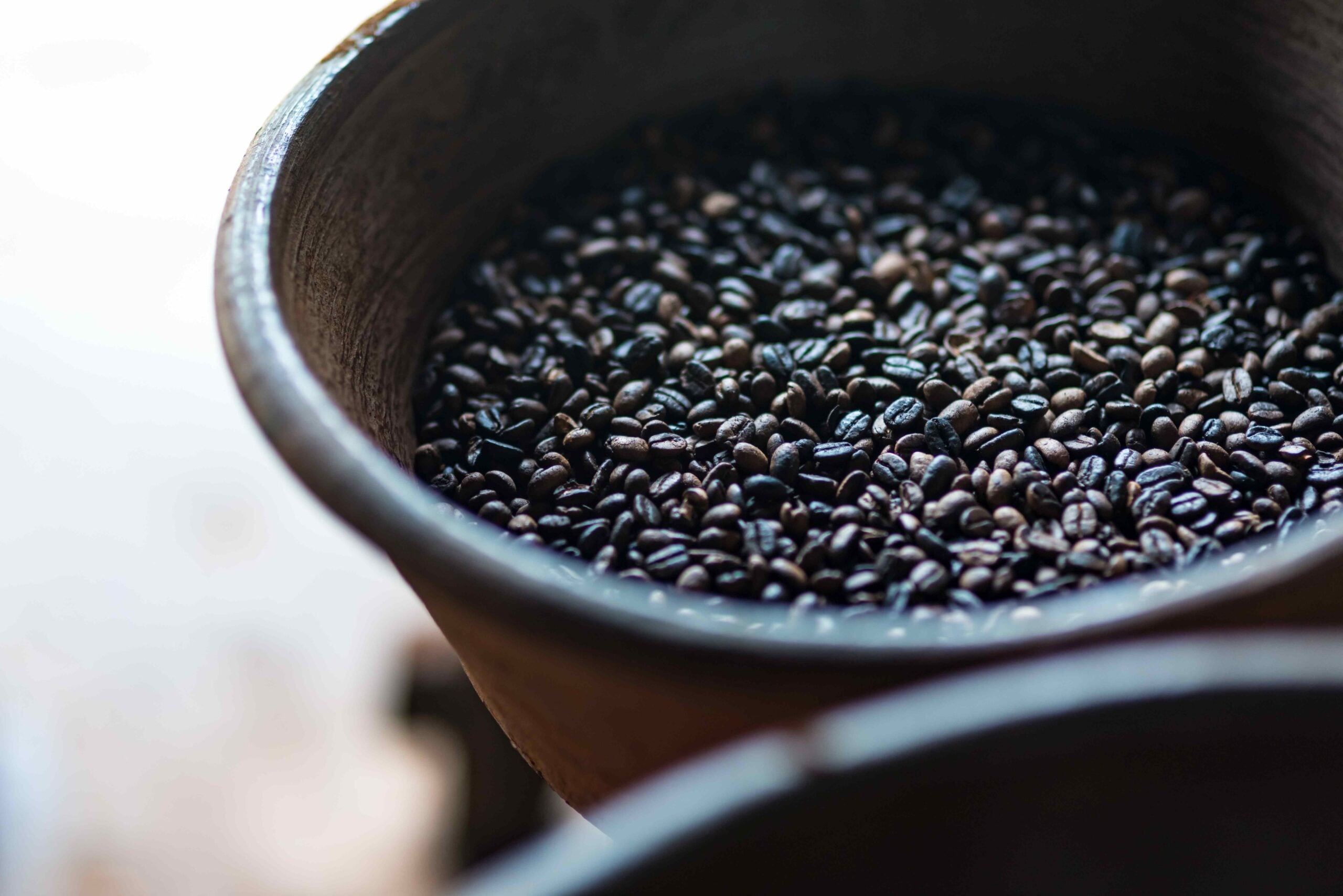 Fresh roasted kopi luwak coffee