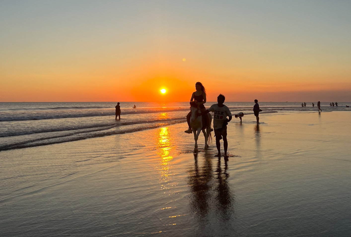 horse on bali beach