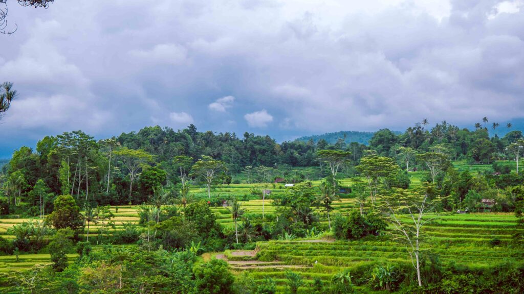 Rice tarraces in Sidemen, Rainy clouds are moving down, Bali, Indonesia