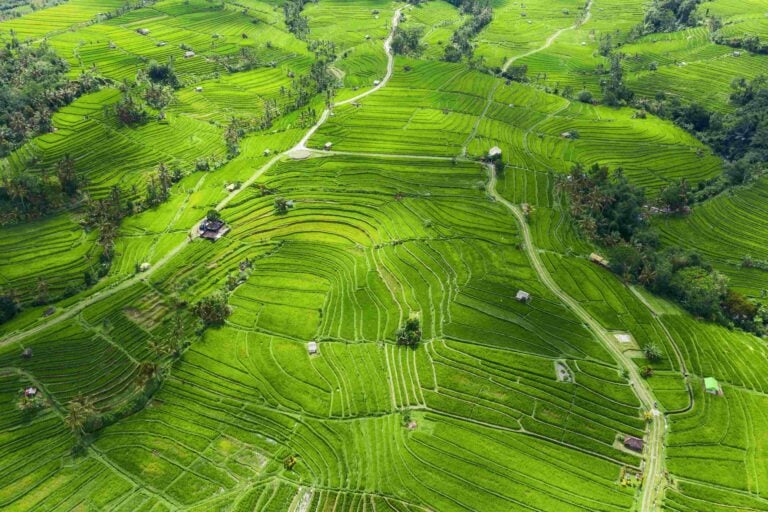 rice terraces in the summer unesco world heritage 2023 11 27 05 35 54 utc