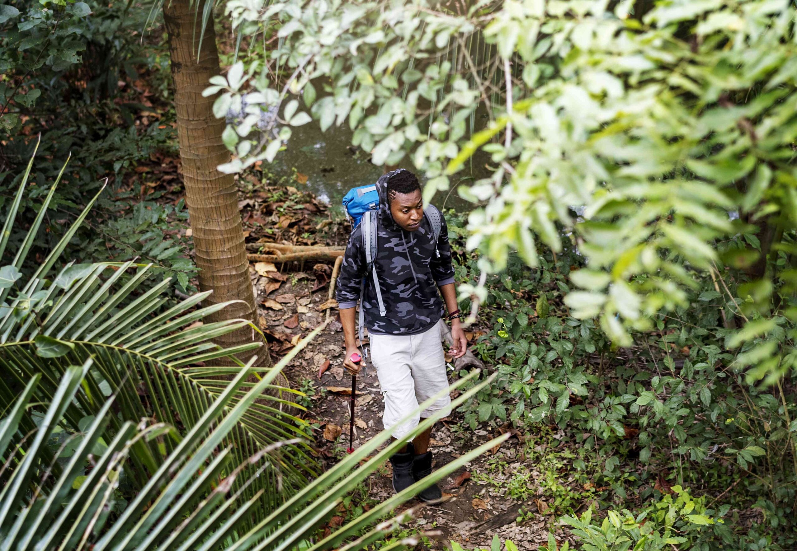 Trekking in a forest