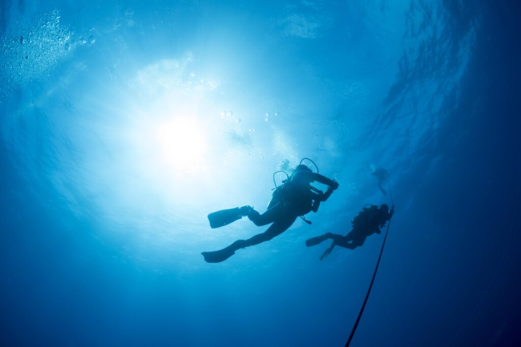 two silhouetted diver ascend an anchor line at the 2023 11 27 04 59 31 utc