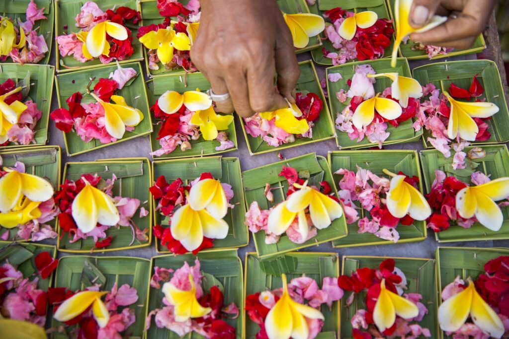 Woman preparing flower offerings, close up, Bali, Indonesia