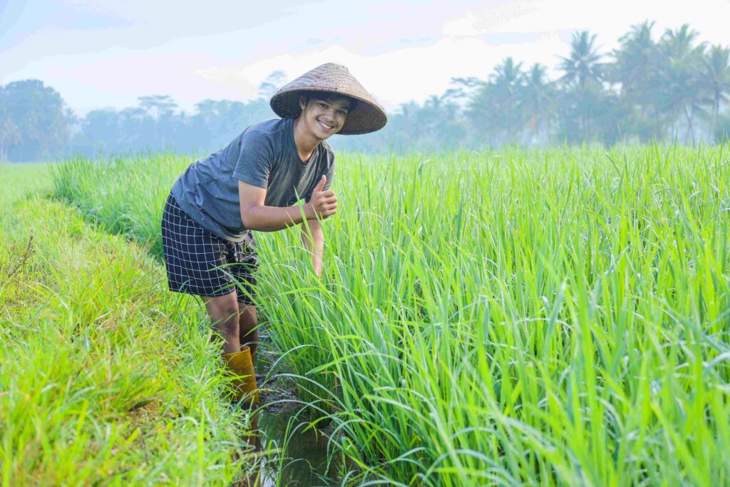 young farmer on rice field 2023 11 27 05 07 54 utc